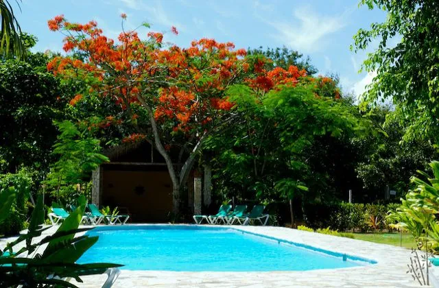 Bali Hai Cabarete garden pool